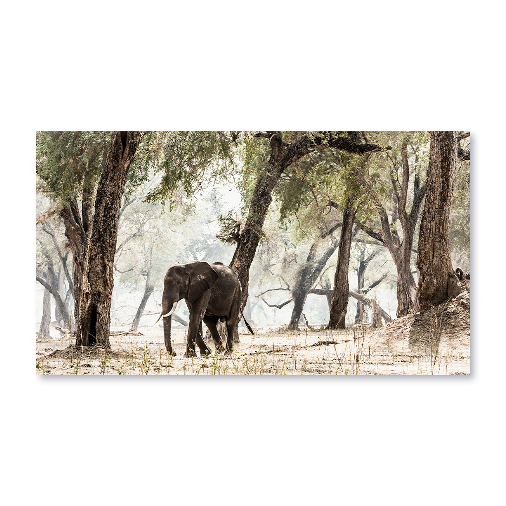 Gregg Robinson is an award-winning Zimbabwean photographer and printmaker whose work is defined by its quiet strength and deep connection to the African wilderness.