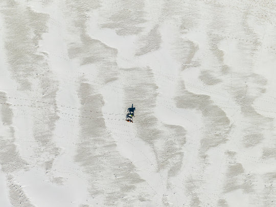 Horse Shadows