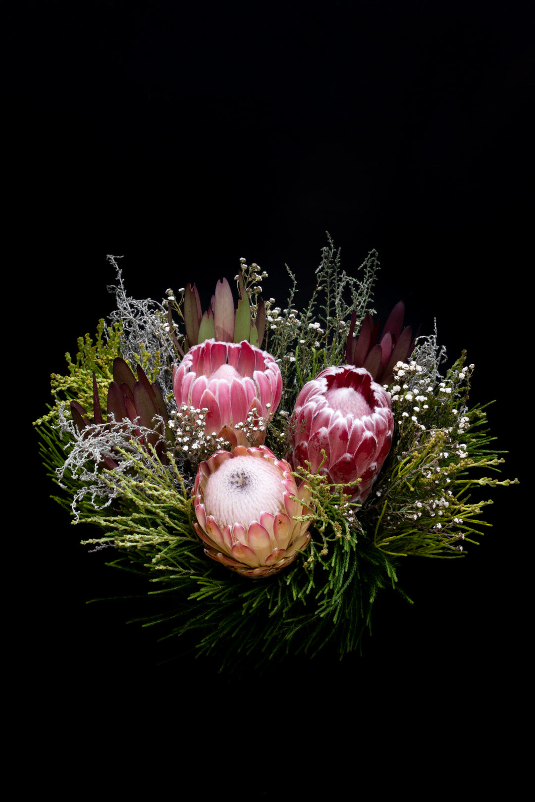 Protea Boquet