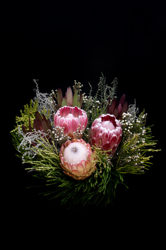 Protea Boquet