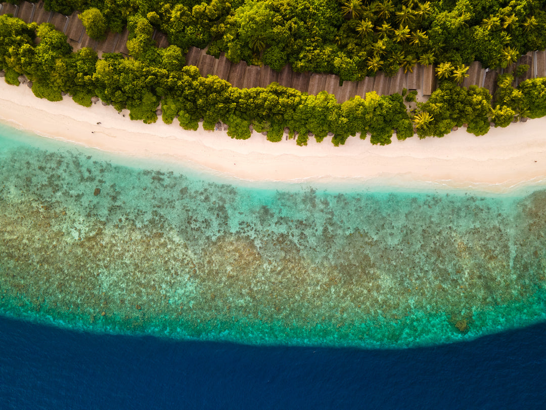 Maldives (1)
