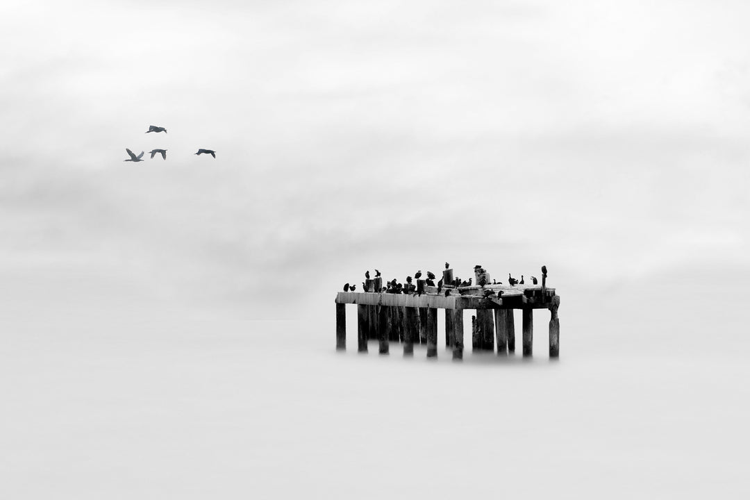 The Old Jetty