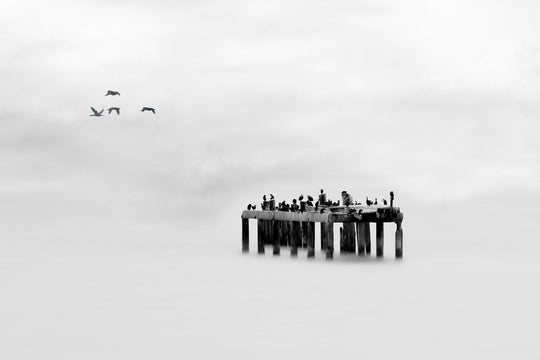 The Old Jetty