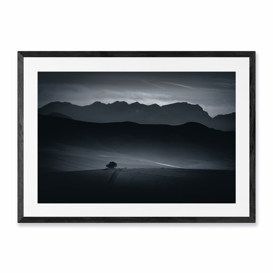 The Tree on a Hill