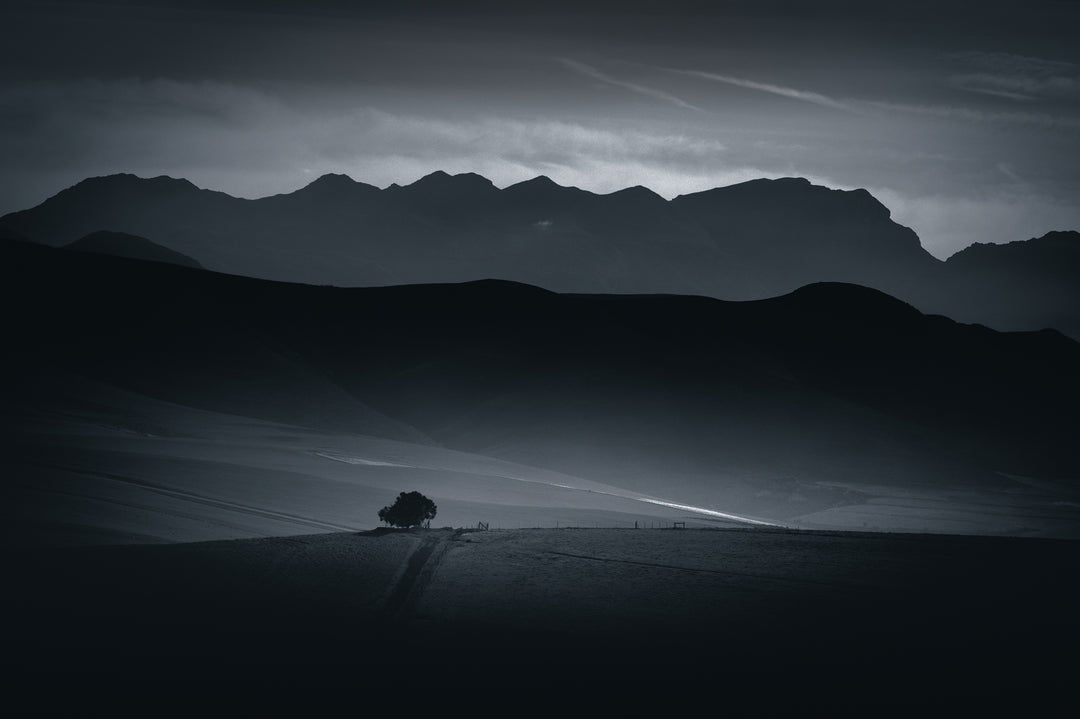 The Tree on a Hill
