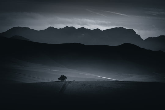 The Tree on a Hill