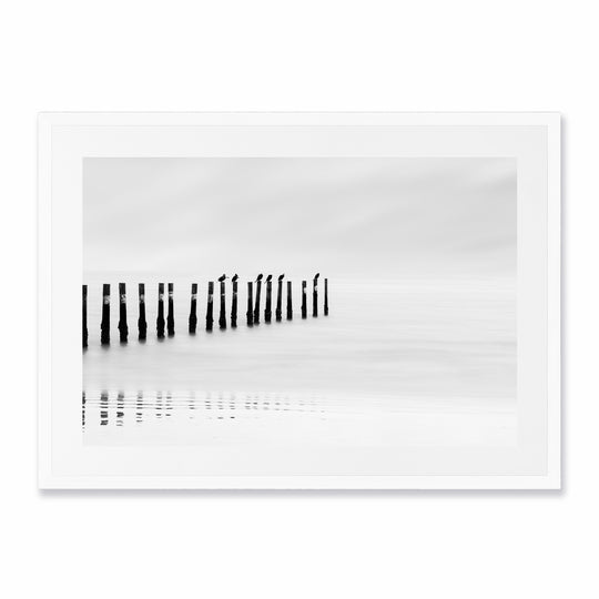 Birds on a Pole