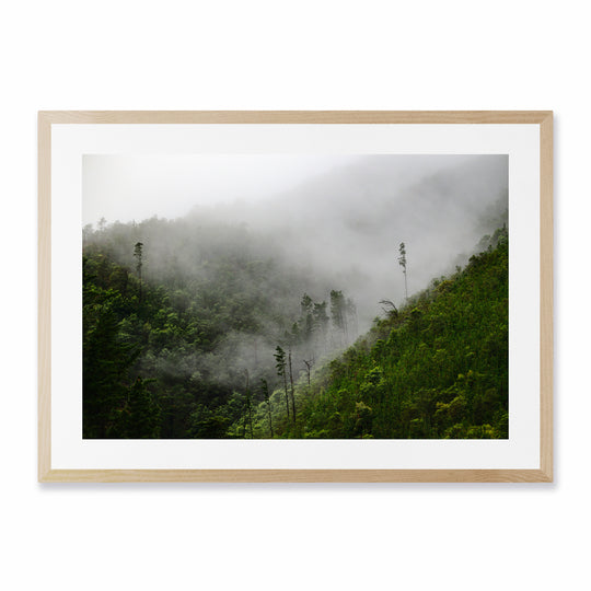 Fog in the Mountains