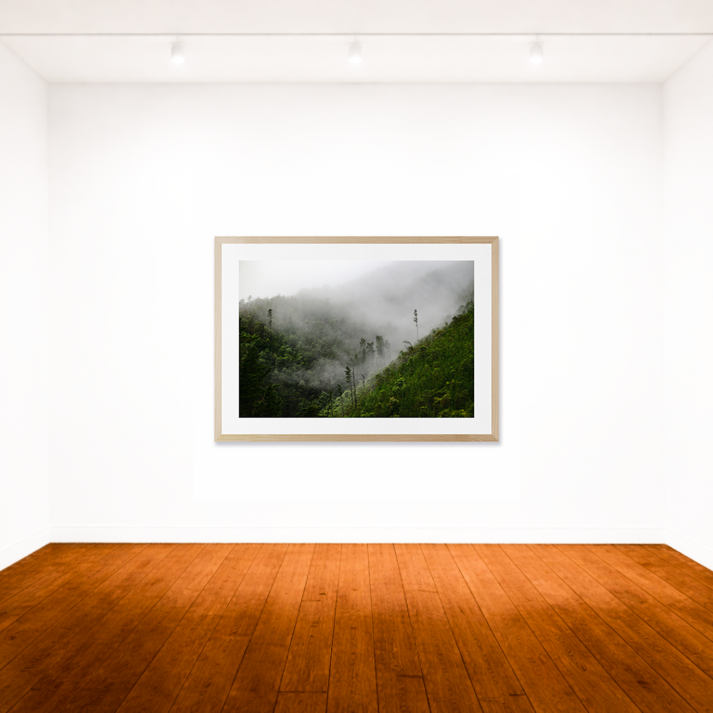 Fog in the Mountains