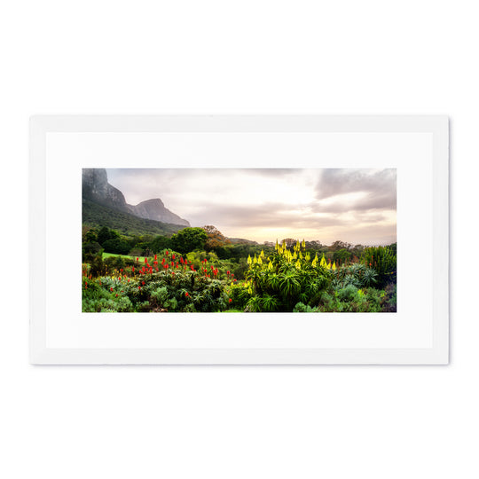 Kirstenbosch