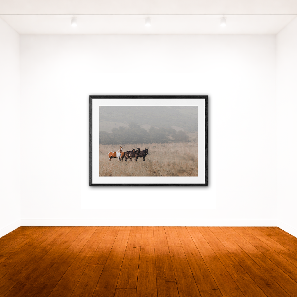 A Moment of Stillness