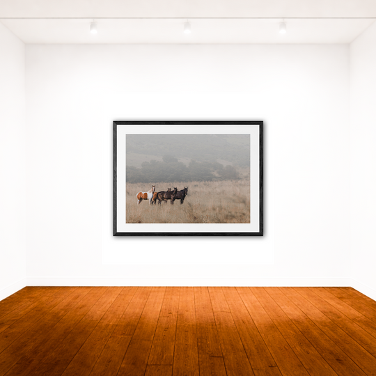 A Moment of Stillness