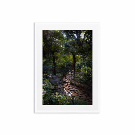 A Wandering