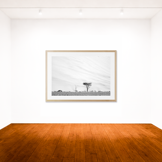 Against The Dune
