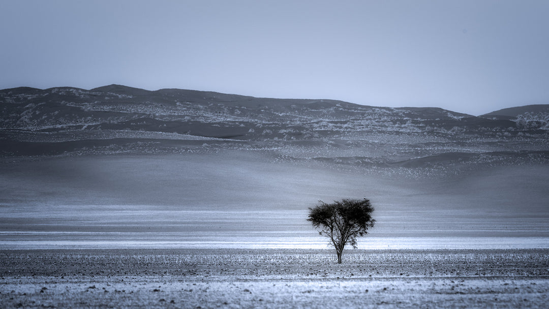 Blue Tree