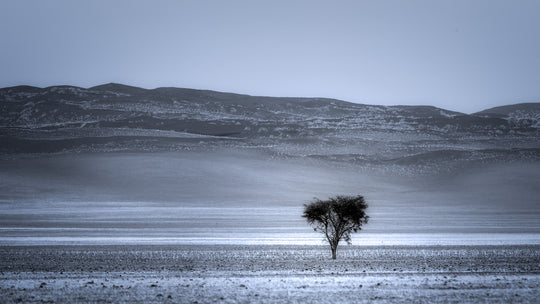 Blue Tree