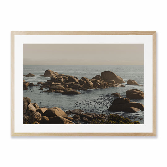 Weathered Coastal Boulders
