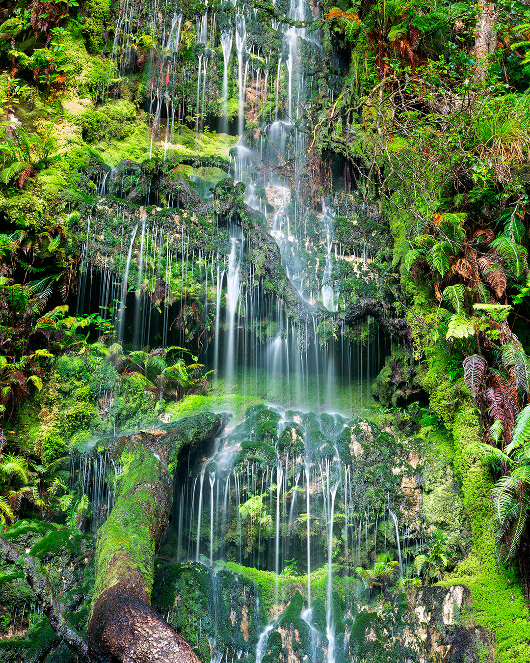 Cascade