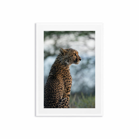 Regard