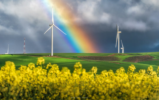 Stunning Rainbow (2/2)