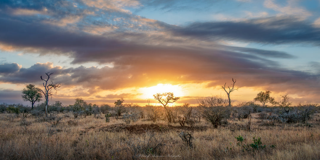 Kruger Sunrise