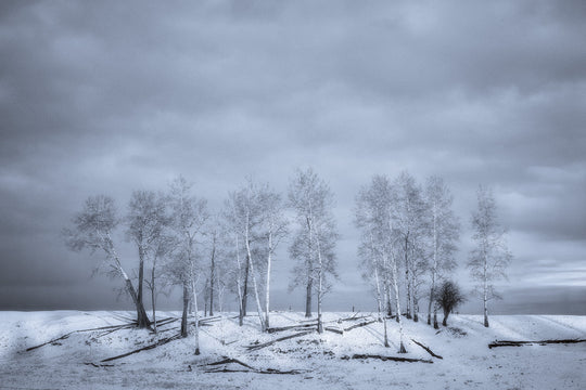 Cold Line
