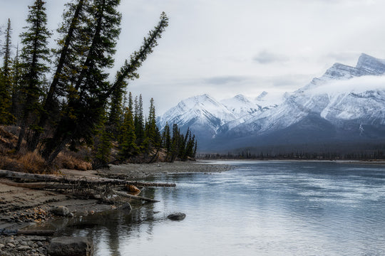 First Snow Abraham Lake