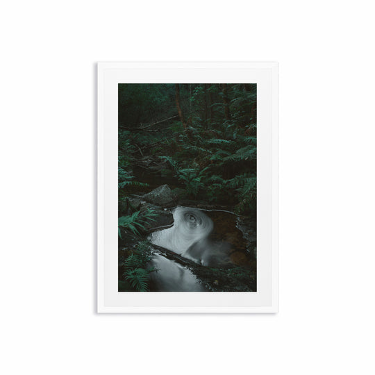 Forest Portal