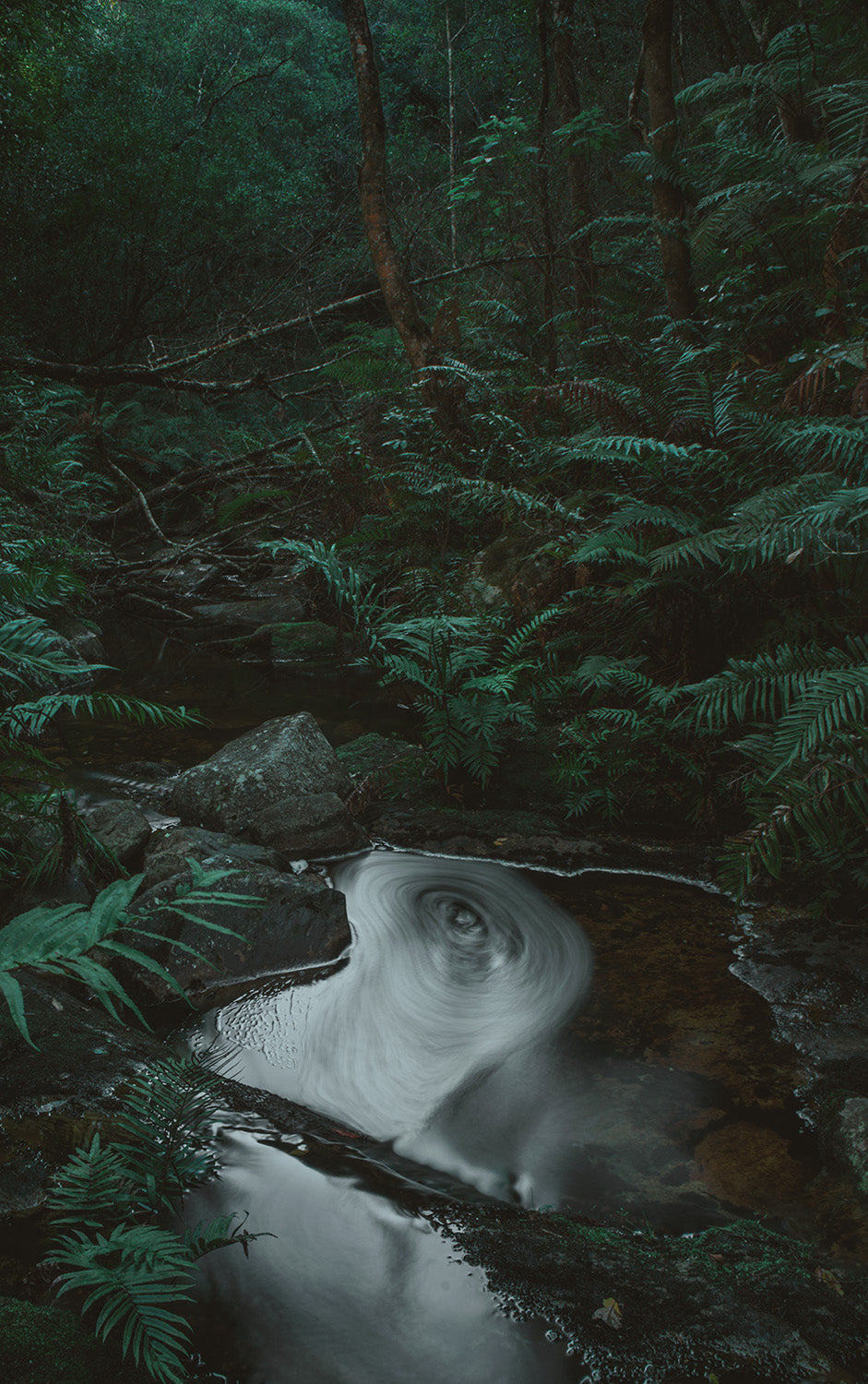 Forest Portal