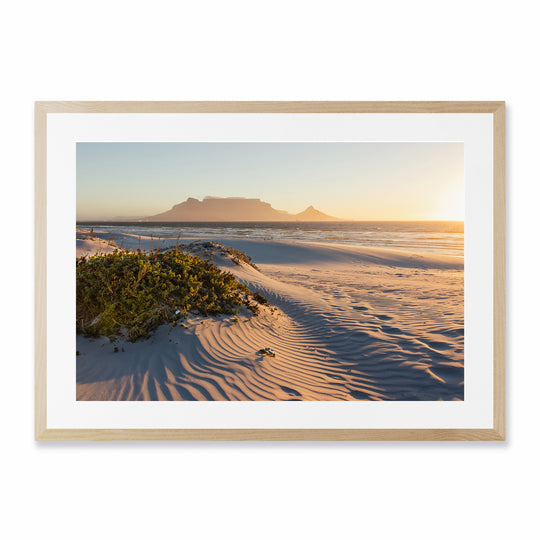 Golden Hour, Dolphin Beach