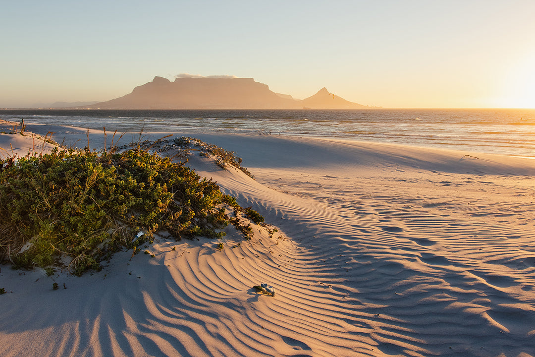Golden Hour, Dolphin Beach