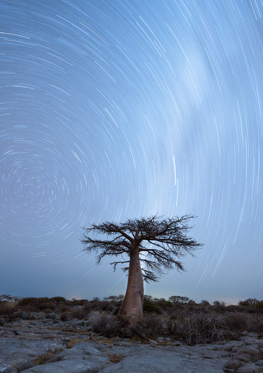 Star Trails over Kubu Island, Botswana