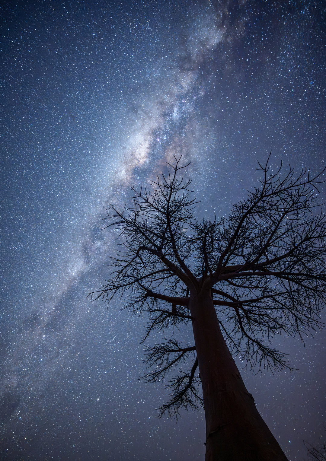 Milky Way over Kubu Island, Botswana