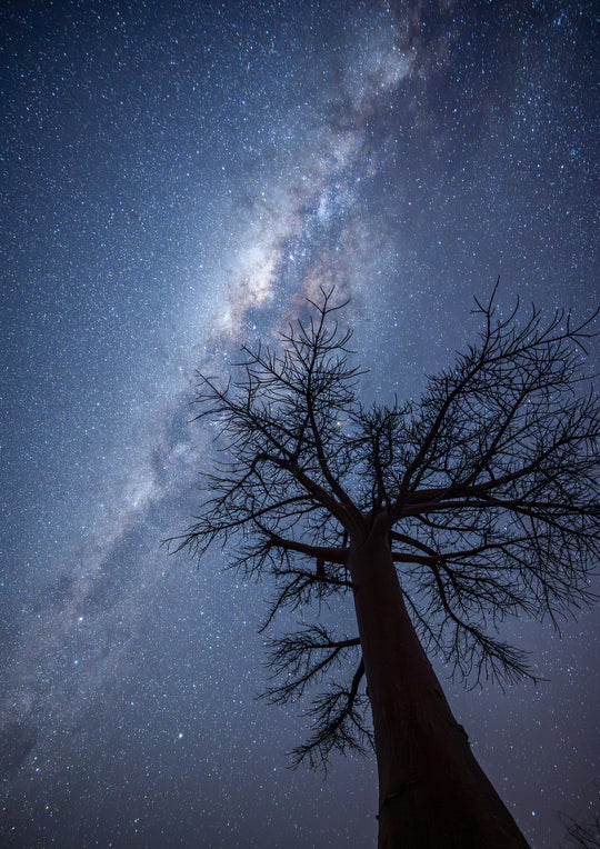 Milky Way over Kubu Island, Botswana