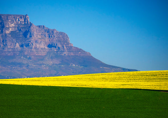 Table Mountain