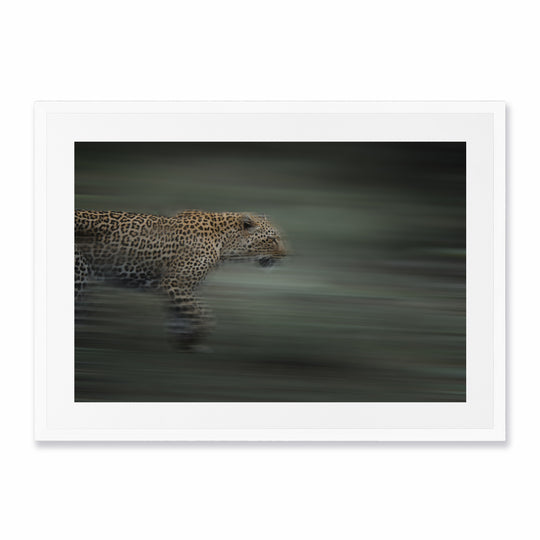 Kruger Park (2)
