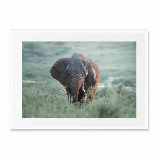 Kruger Park (3)