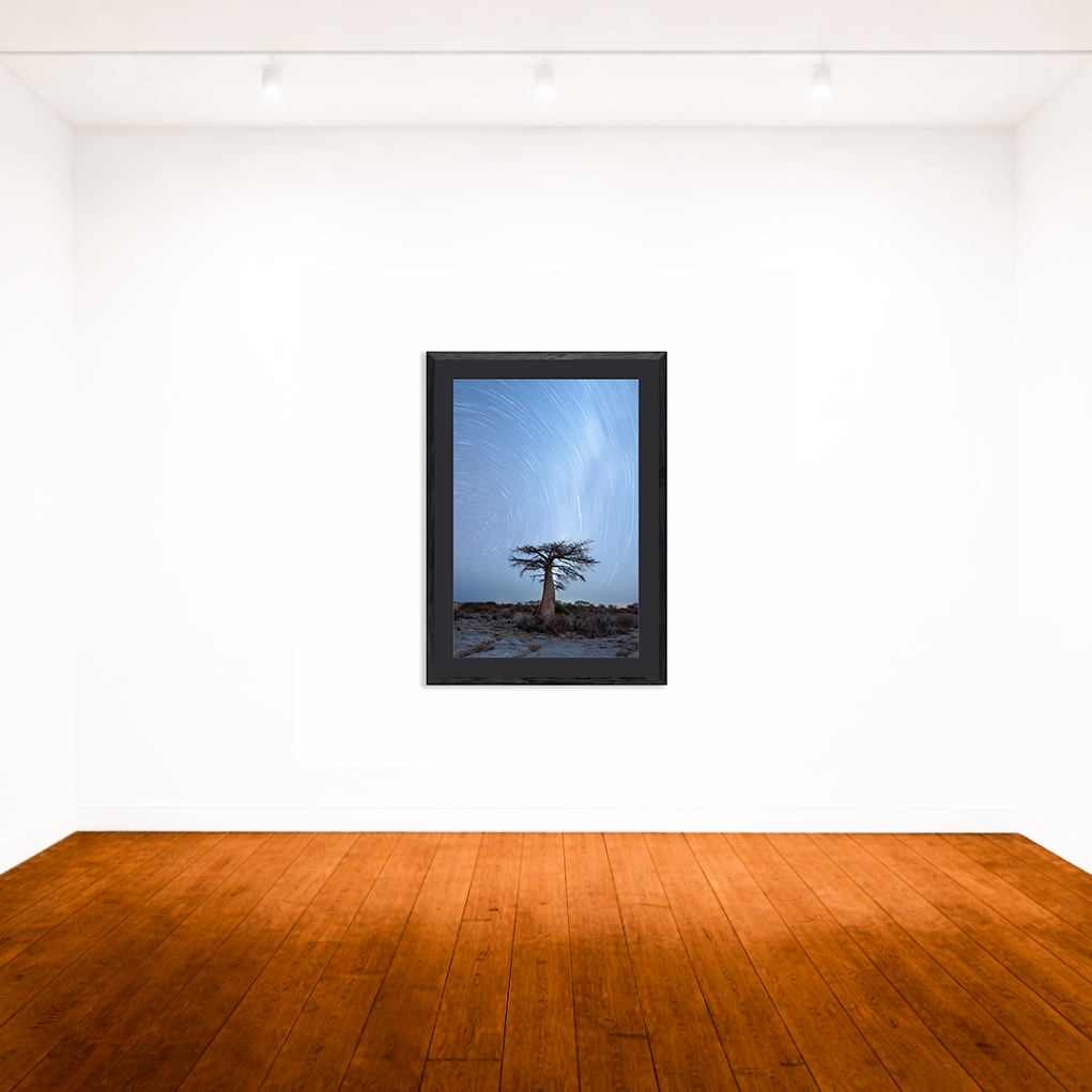 Star Trails over Kubu Island, Botswana