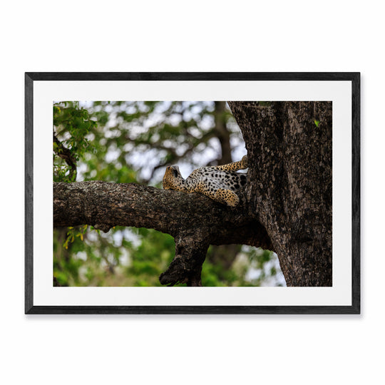 Kruger National Park (3)