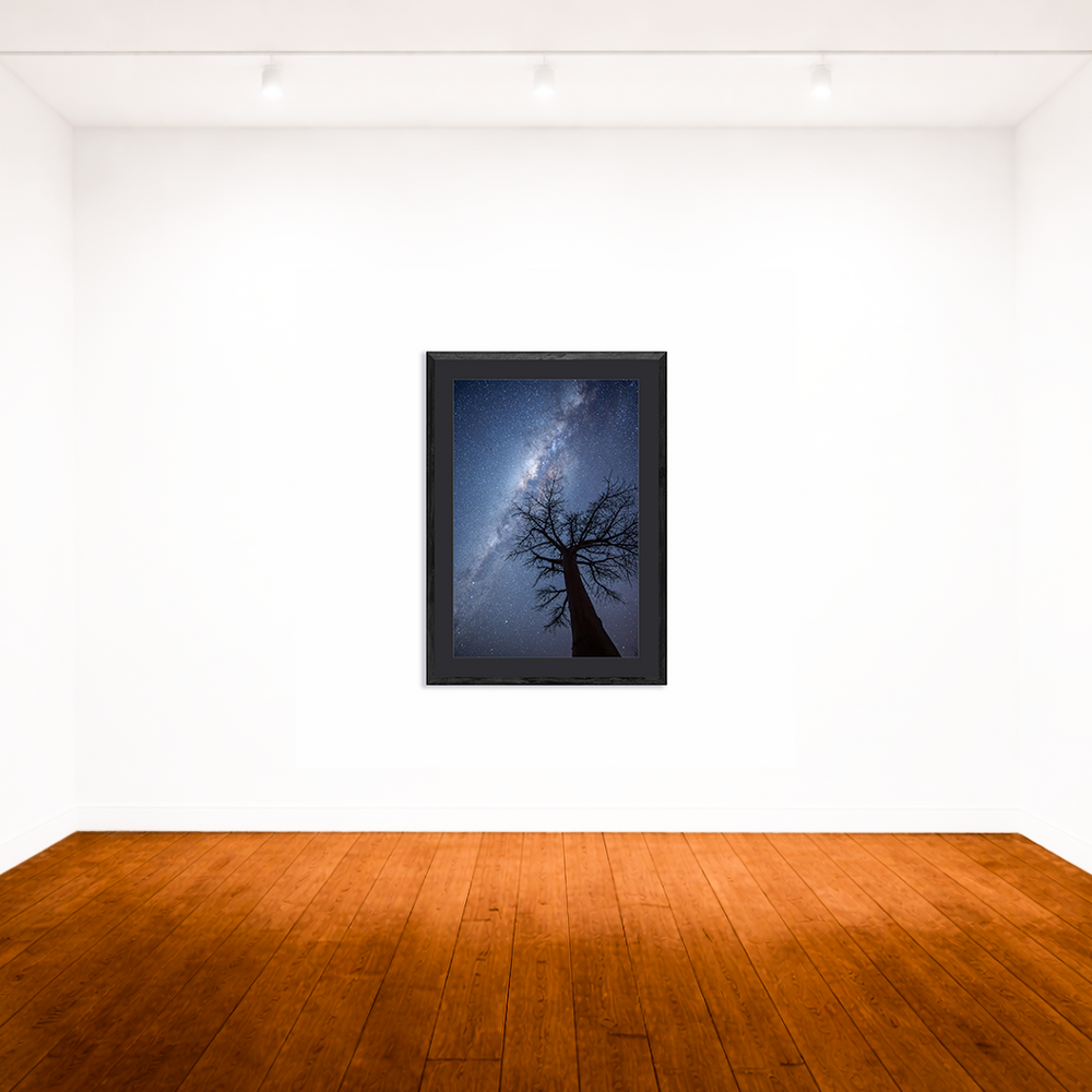 Milky Way over Kubu Island, Botswana