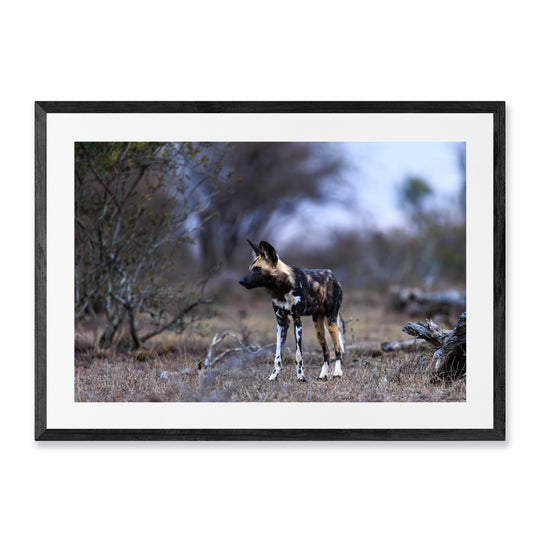 Kruger National Park (1)