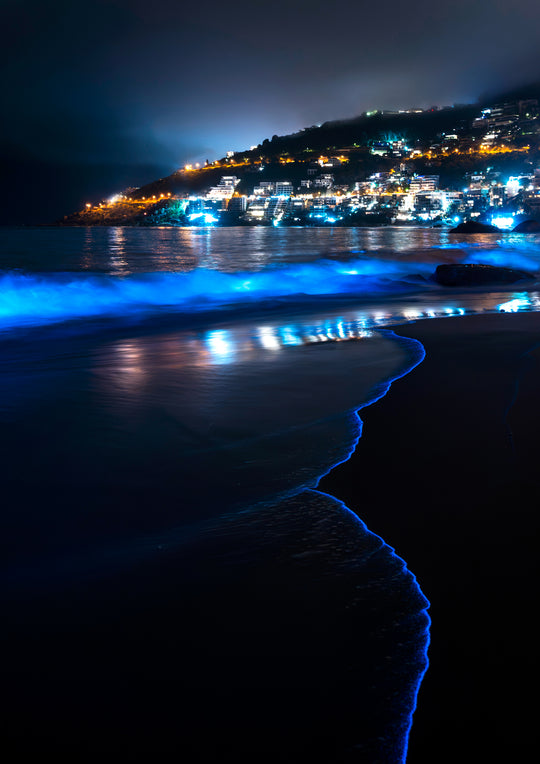 Bioluminescence