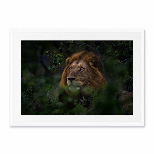 Kruger Park (4)