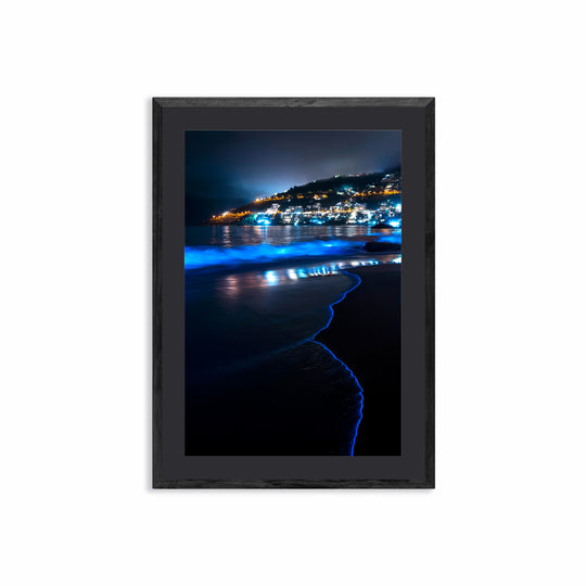 Bioluminescence