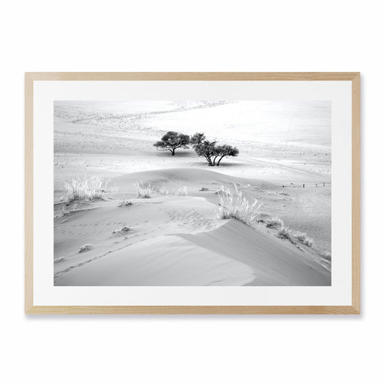 In the Desert