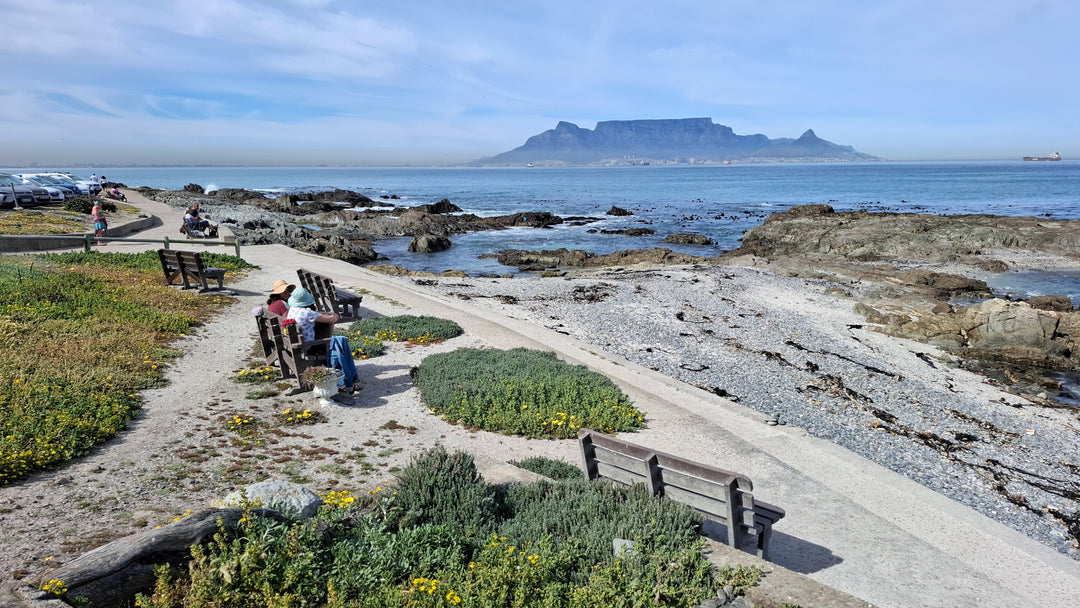 Table Mountain Blaauberg Benches