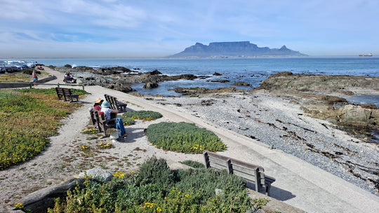 Table Mountain Blaauberg Benches