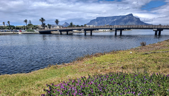 Table Mountain Woodbridge Island