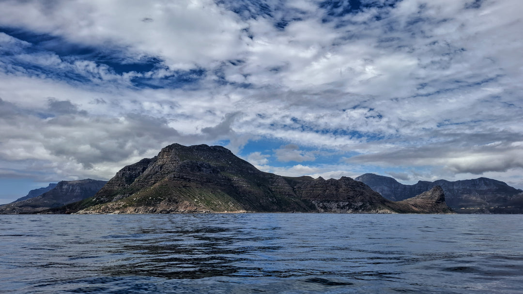 Hout Bay Sentinel