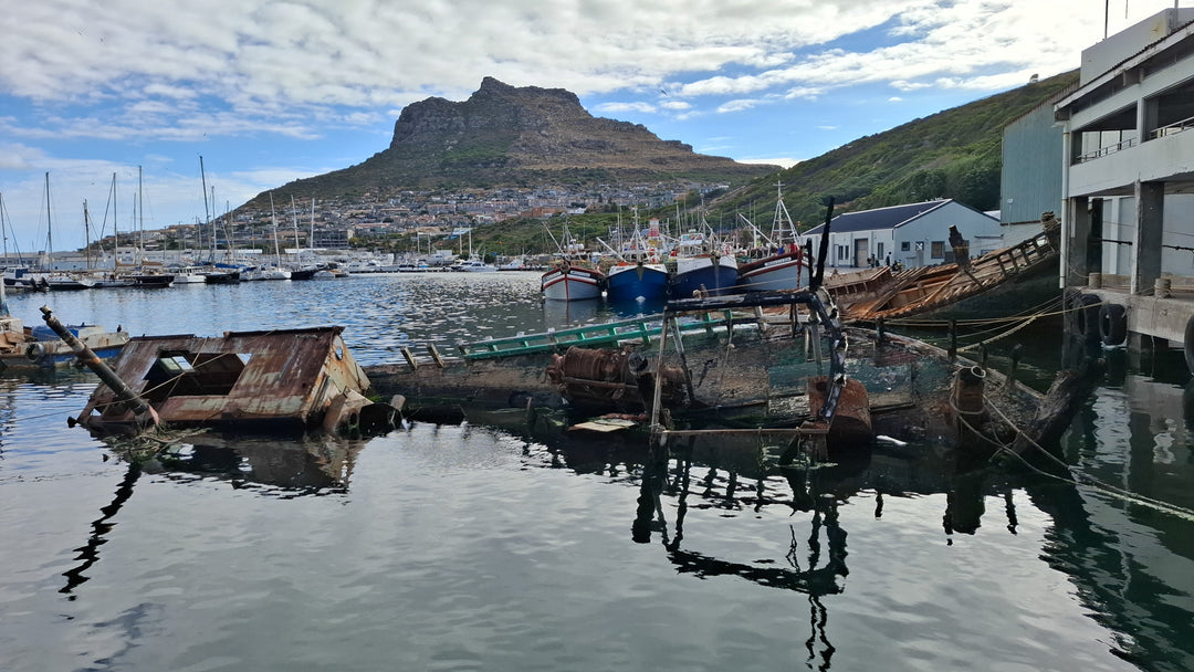 Hout Bay Harbour Wreck